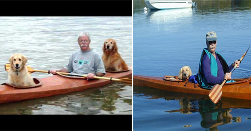 Retired Man Builds Special Kayak to Take Adopted Dogs on Aquatic Adventures