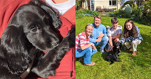6-Legged Puppy Cruelly Dumped In A Car Park By Previous Owners Due To Her Condition