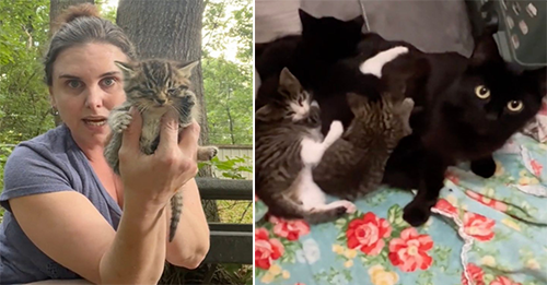 Georgia Woman Discovers Furry Intruders In Her Backyard And Ends Up Fostering Them