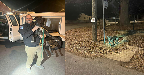 Virginia Rescuers Saved A Dog Tied To A Bus Pole And Gave Him A New Chance